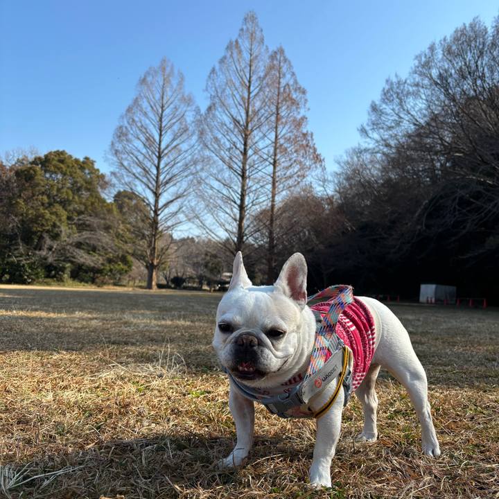 B059fbec 8ca1 4ee4 b07b 662edfe13c0c 1771121761253