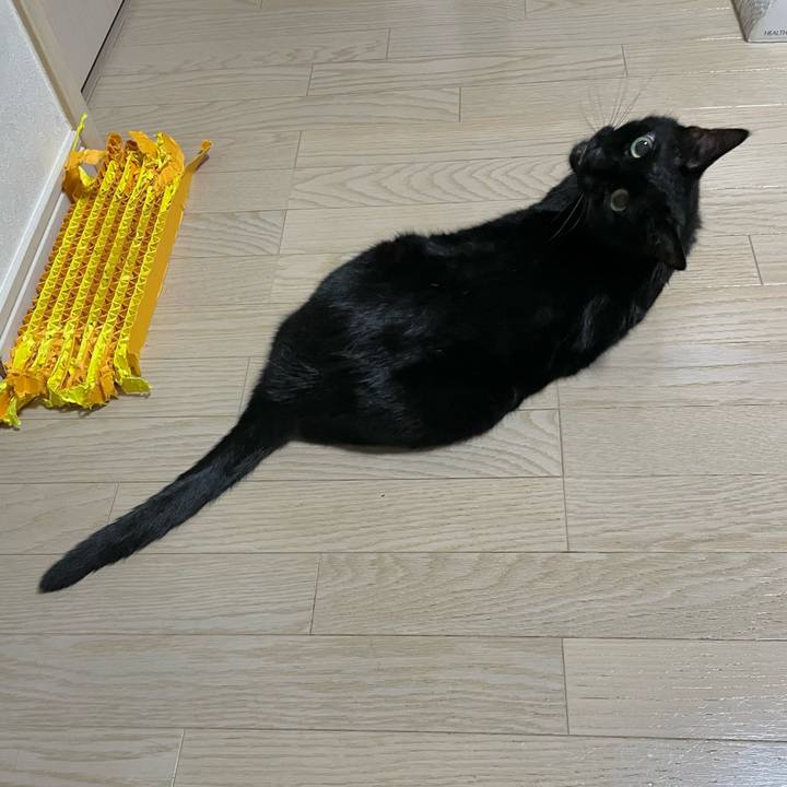 B05a15d2 3b22 481b b782 40294fa5e39e 1748086732711