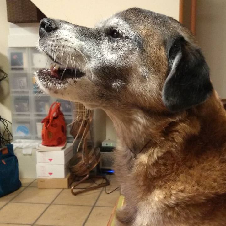 B05a2927 44fc 4129 ac2c 609c0565fe9a 1547596232138