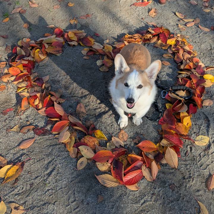 B05a3f20 c0a9 477e ab17 75d03e16892f 1764300054571