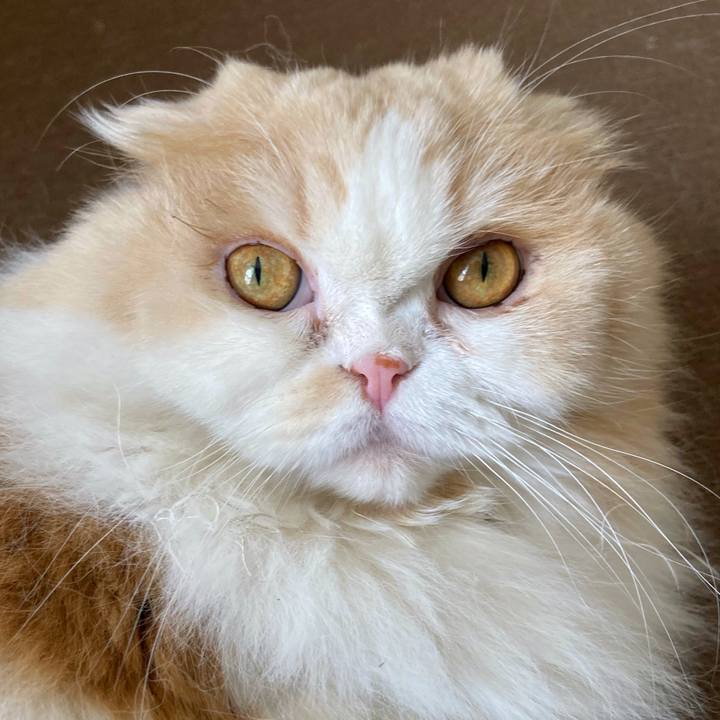 B05a6152 d205 4978 b9d5 86666e0eda84 1648039027840