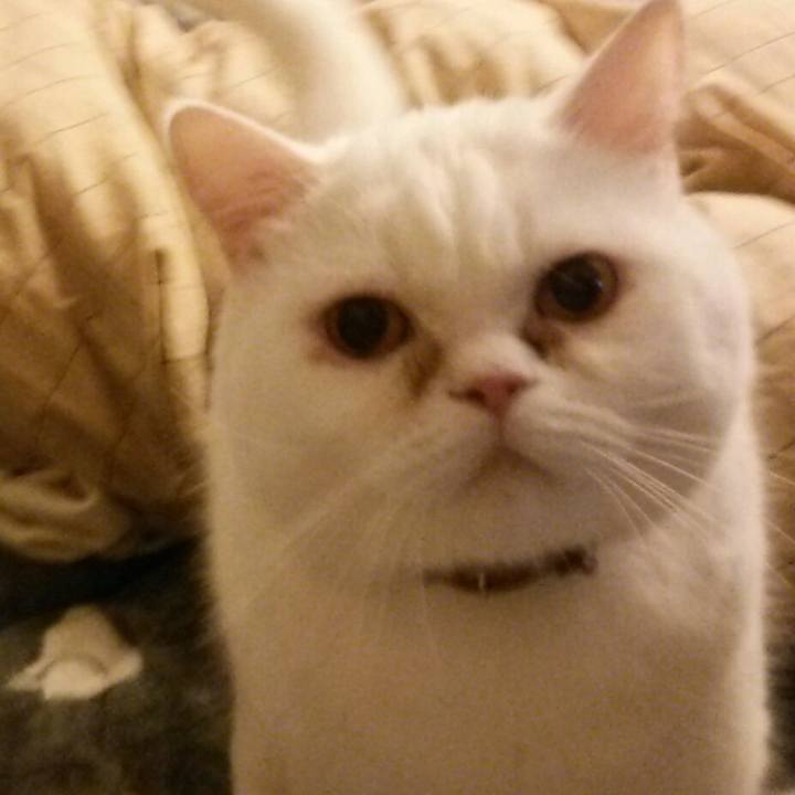 B05a6adc d768 4006 9889 83a0c5e7d651 1517872118189