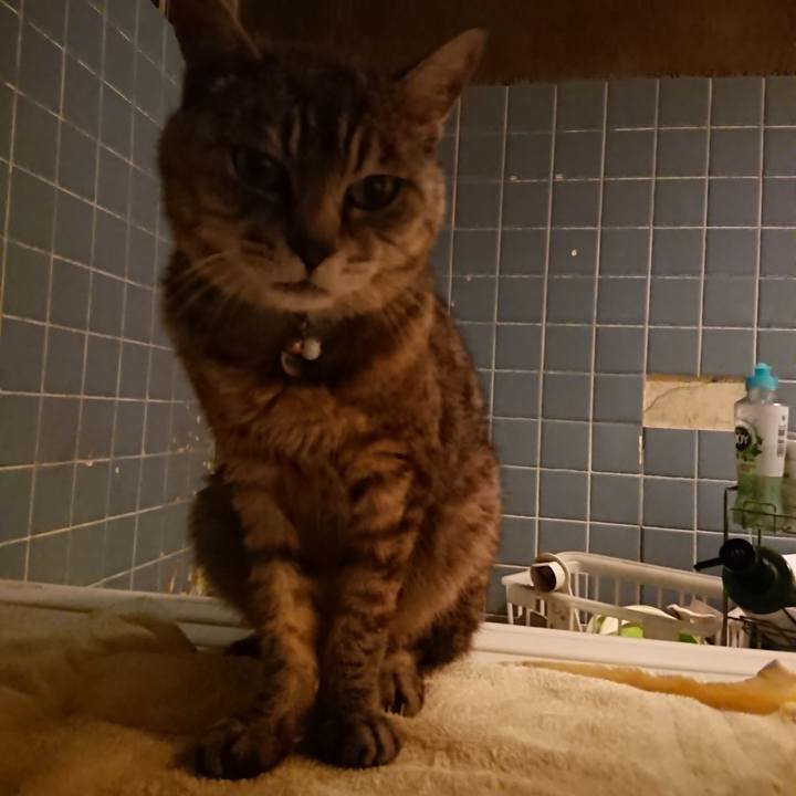 B05a999d b7b5 4dd7 9ff7 5d633ff4299d 1567420764326