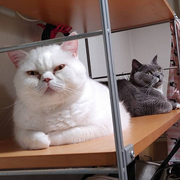 B05ab357 63c2 4e96 a000 32e5bd90c572 1628077570361