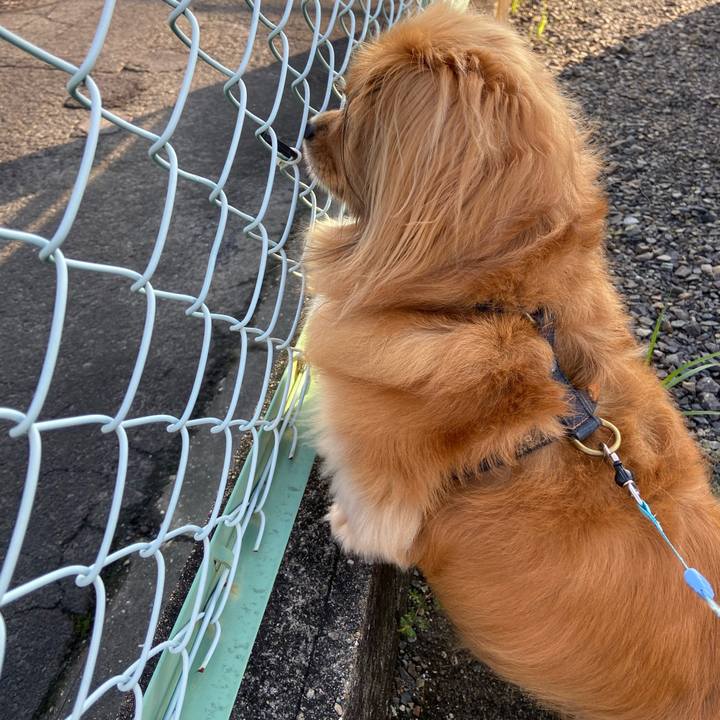 B05ae5e9 f75f 4a5a 9ddb 0736c60d4991 1595112858588