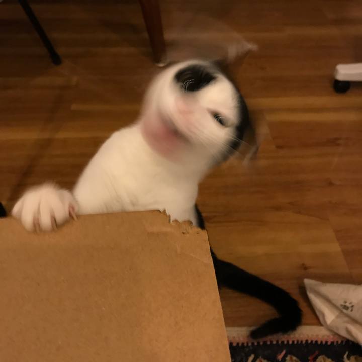 B05b4f10 2e17 4131 994d 013f2dc8c122 1565964394630