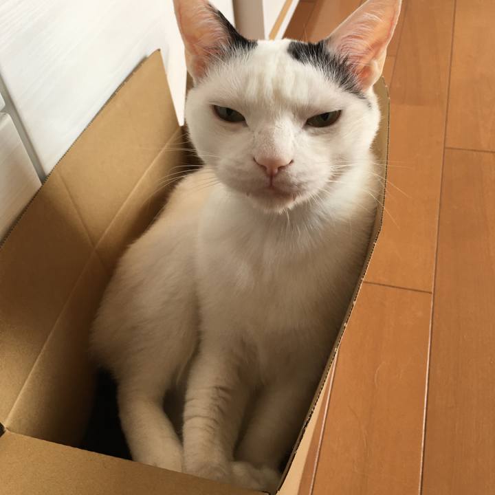 B05b5ed2 bc73 4340 bad7 2c70fc842cfa 1585965613336