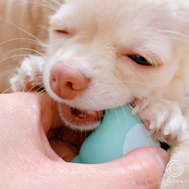 B05b75b5 5eab 4c76 9c9b 538bf9101057 1608792995187