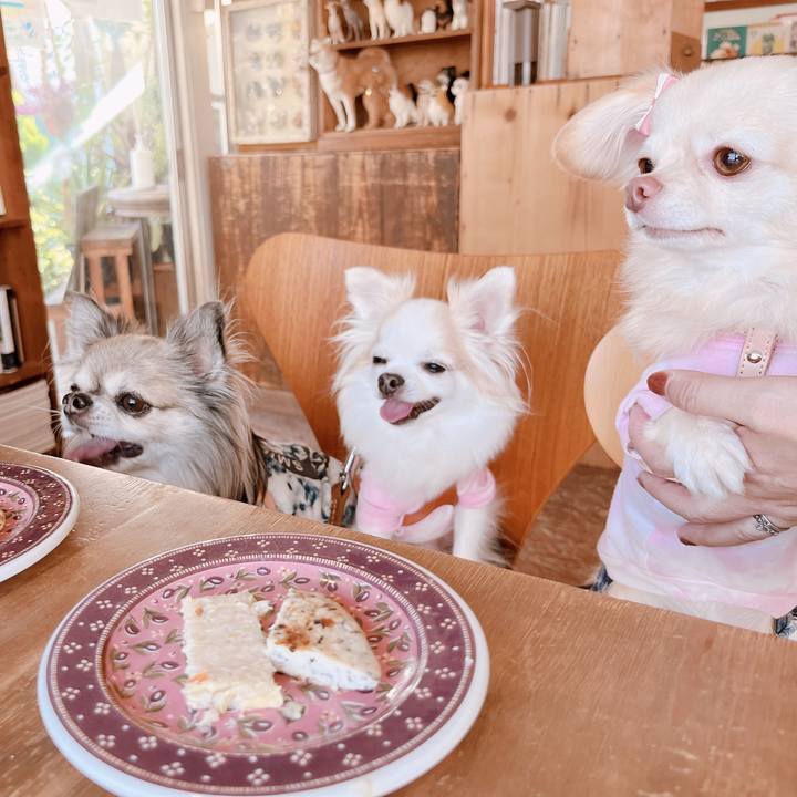 B05b9357 a02b 486d 8d08 0e55dc81cdbc 1666780323887