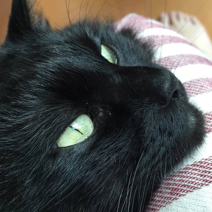 B05b9b87 4934 44f0 b8dc 36f90ed8cbae 1510283322063