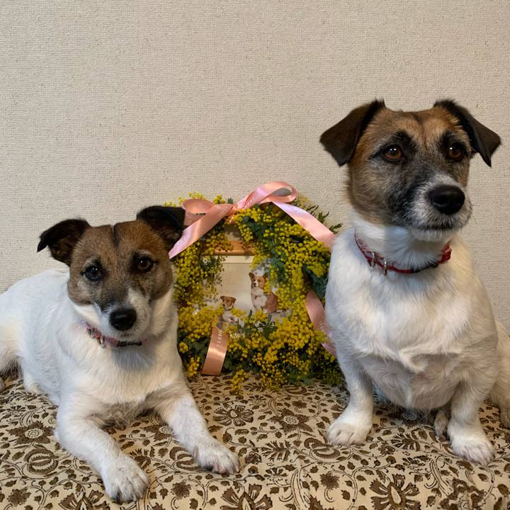 B05baebe b566 49b5 ab42 327505c4e130 1614071726282