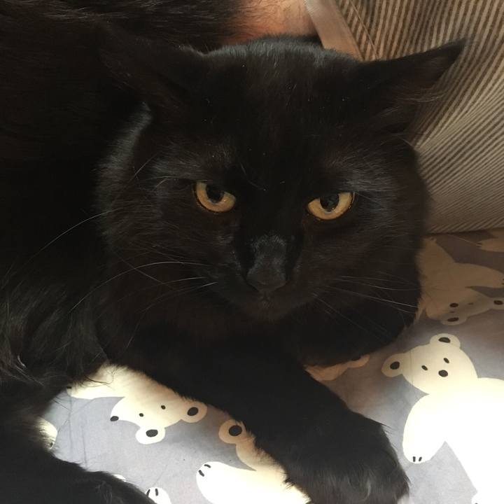 B05c2332 a6b4 4fd3 9bf0 f2ba2b26e2ee 1521377541794