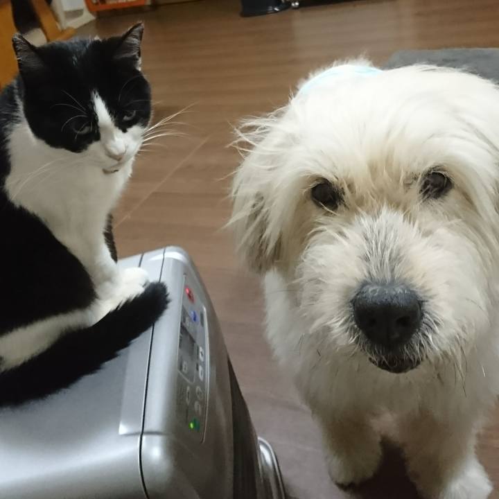 B05c343f eb96 41c9 9fa2 90ea7cd5a72d 1583708271202