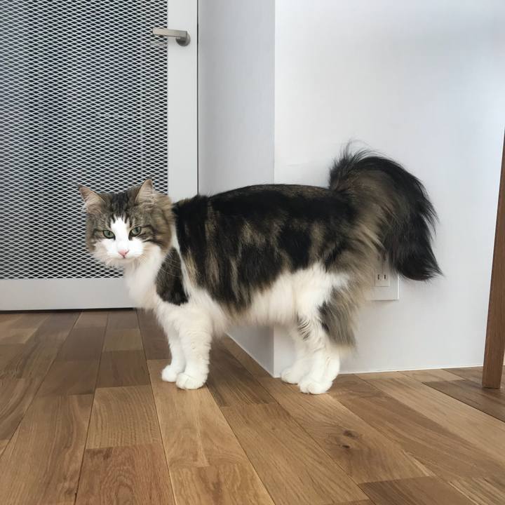 B05c501d 54f0 414c b797 b950726dbdf9 1525994335882