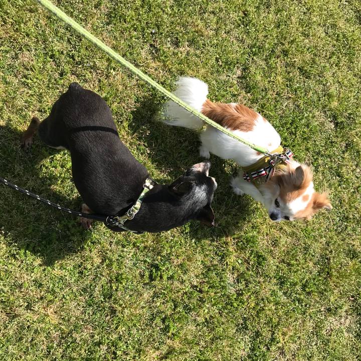 B05c6191 b6cb 4310 a348 e583259f48be 1556787885958