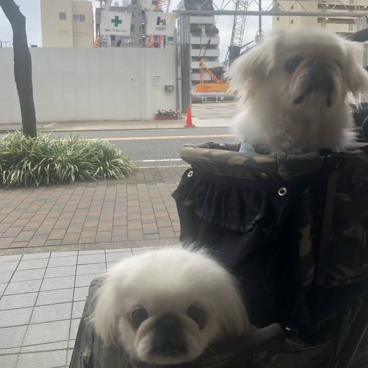 B05c66ab a1fd 45ee 8bc1 a4960d904086 1542017600966