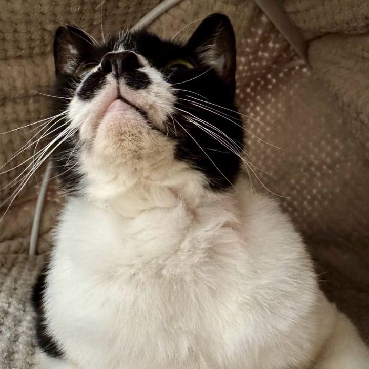 B05c7cdc 84f4 4a64 89f2 65a50f2ab31f 1747459968321