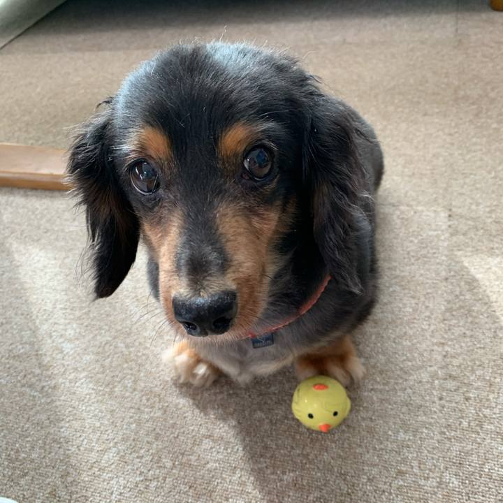 B05ca17f b212 433e 9a3b aed1c181ae83 1595369193702