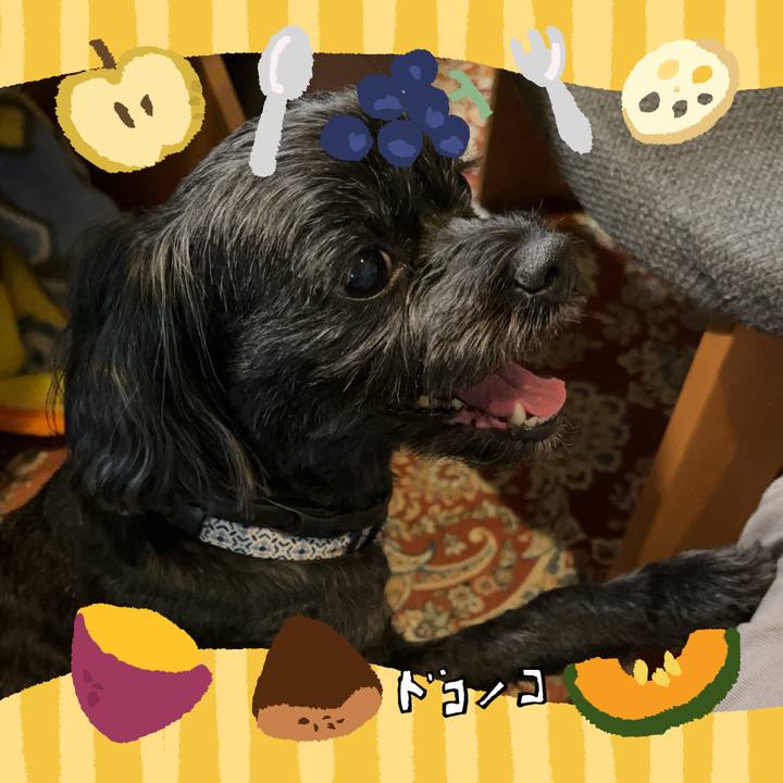 B05cc611 dacb 42f4 bb72 11153f3348a3 1726846398202