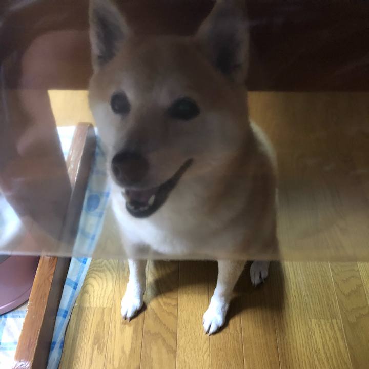 B05cc6a6 3ebe 4611 865f 47f03e3f6ff9 1595303774445