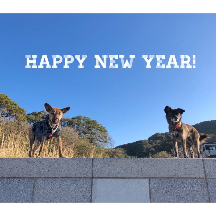 B05ce3d4 6e86 407e 8a57 4d1ba444ea57 1577876064781