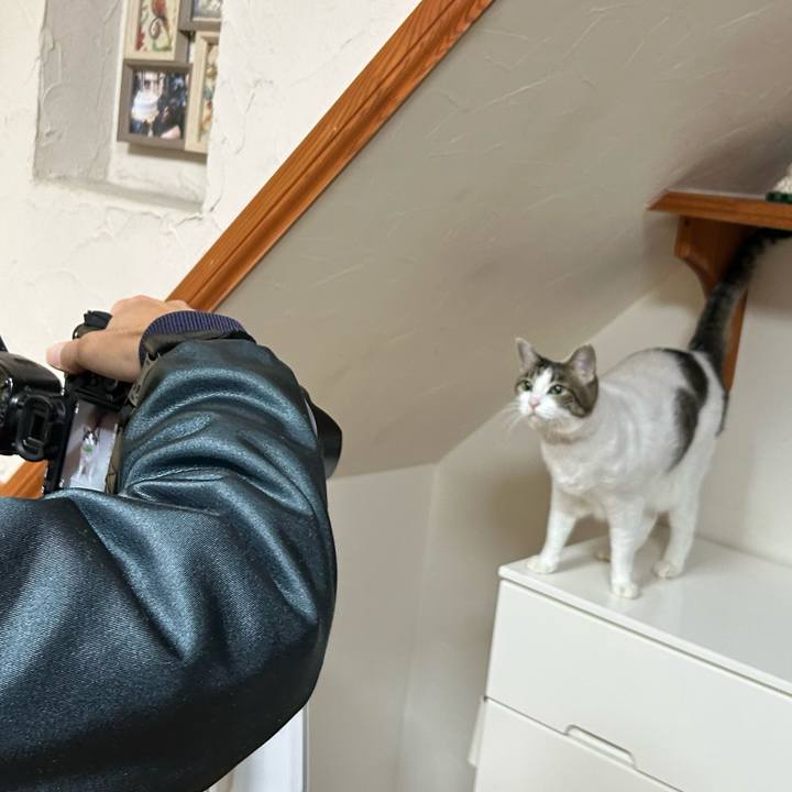 B05cec14 1a4f 4ec2 8729 6967620a3e75 1670743254414