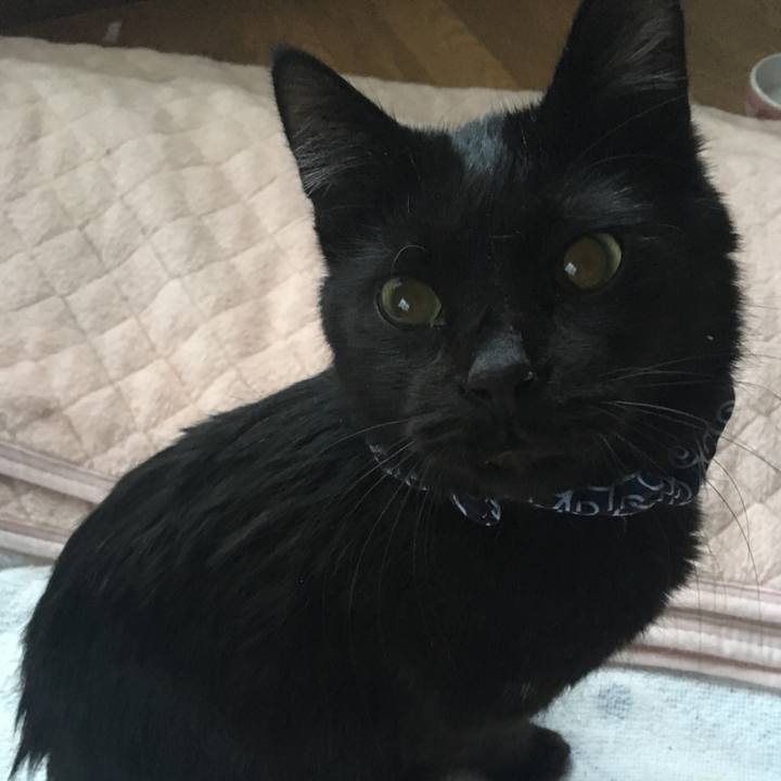 B05d36e2 c5c3 4435 9cbf 79a89359c87b 1550249250693