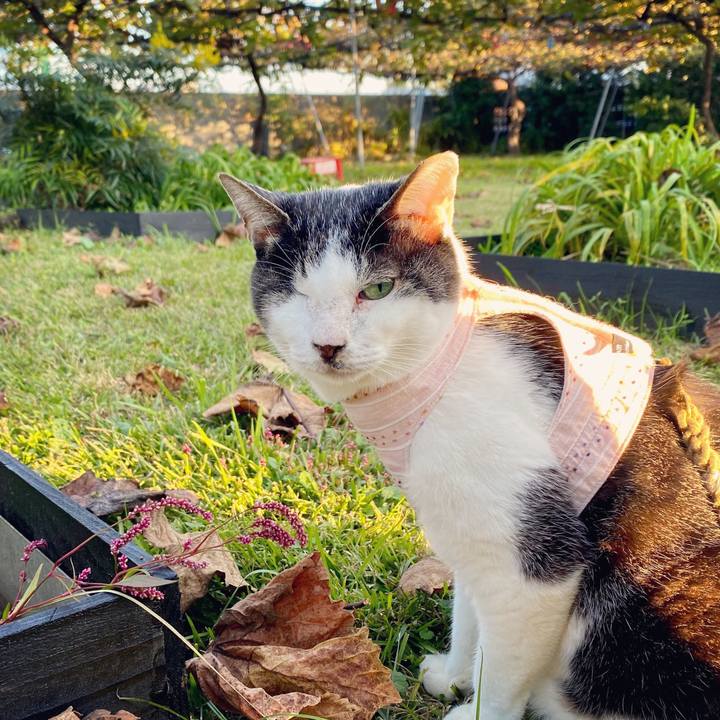 B05d3e59 94b8 4a8b 969a b1777643f354 1604129182668