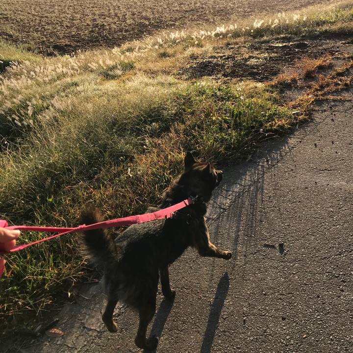 B05d6fd0 821a 47db a684 dd4d80339d6f 1508977330696