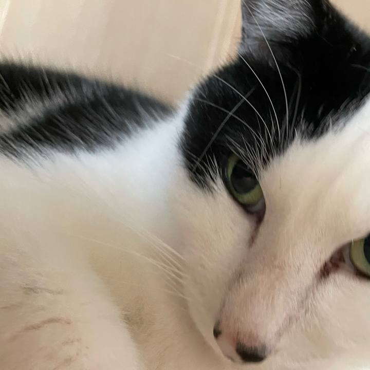 B05da83a 796a 4986 8ebe 6ecdc5617e93 1650326330697