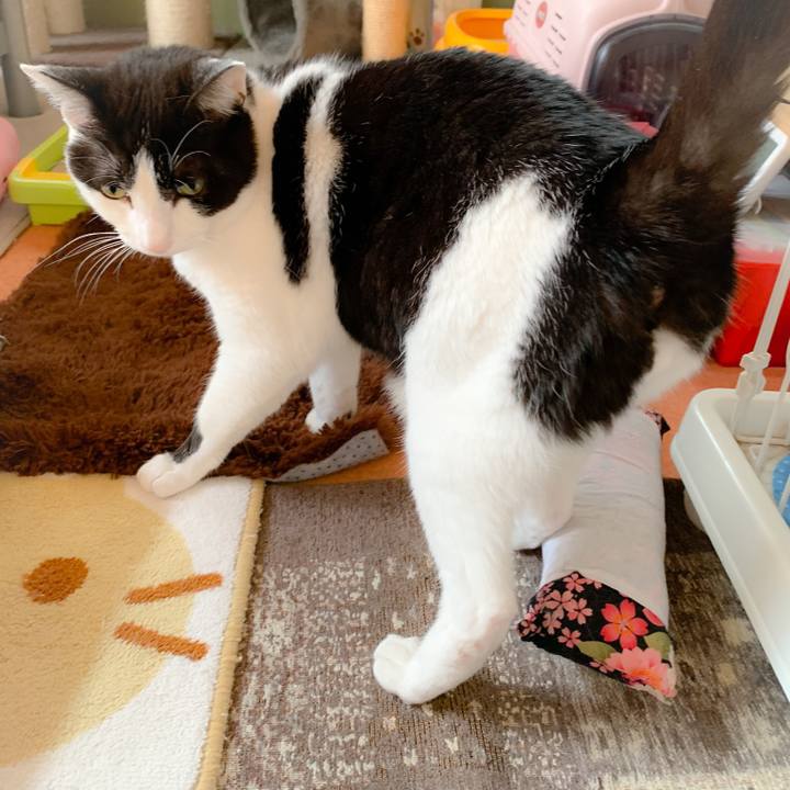 B05dcf4b 793f 4eac 879c d1c57ee92451 1558317829403