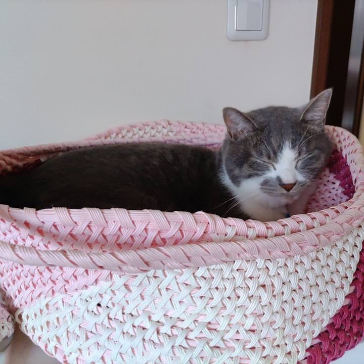 B05e0eb1 2d0a 415b b6e3 f21d3b4d6e69 1720222369376