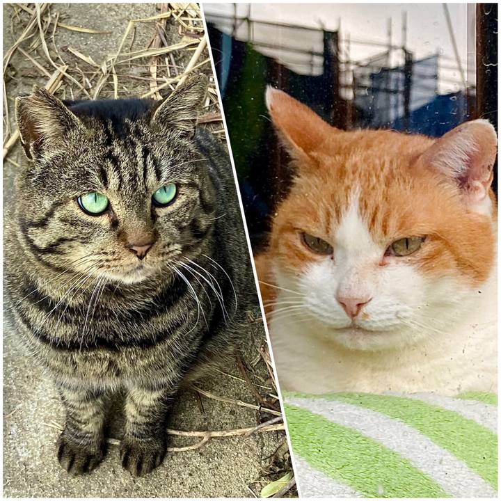 B05e10b9 8477 4a72 9aab 998281718126 1645751267883