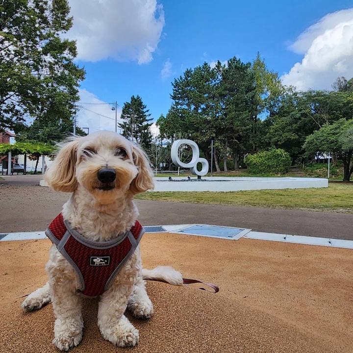 B05e4272 859e 4142 8e8e 0a1865c8afe7 1761534966330