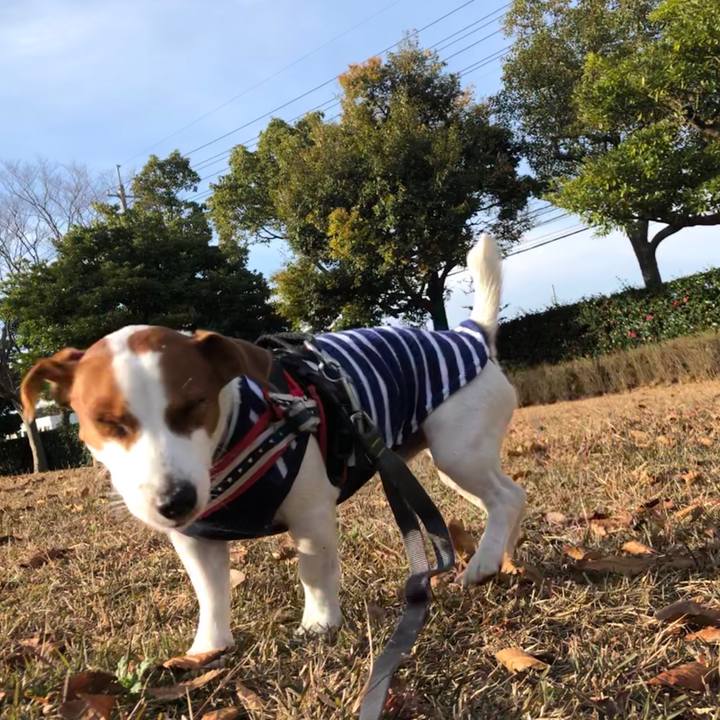 B05e4e60 6aa6 472a 858d d79856cfd361 1545724829785