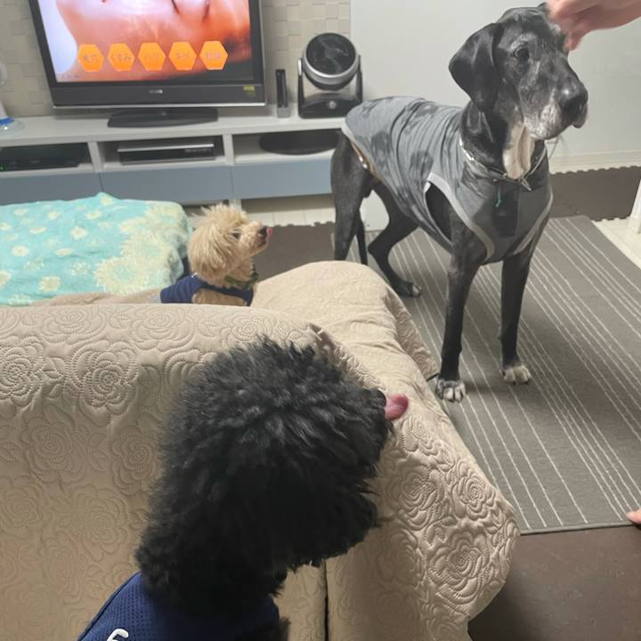 B05e6bec 12a6 45dd b5f0 30fa83b9115f 1622066355344