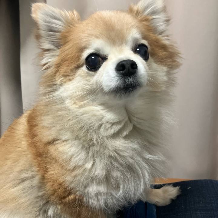 B05e8622 a59a 4b69 8cb4 20a63c8fb712 1770288143426