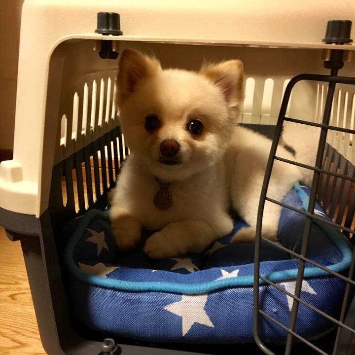 B05e93ba ebb8 448a 83bb da0c51762695 1561983567464