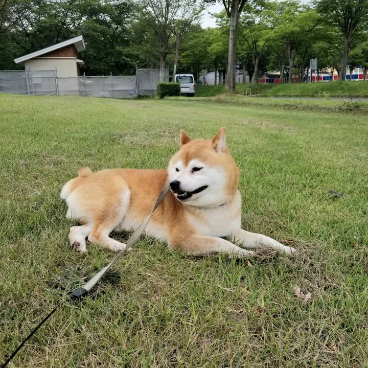 B05ea098 4a92 4a41 a3df 0922cf5c950d 1624867023333