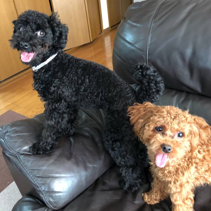 B05eb51a 1a56 4476 b8dc 496896ba24d6 1510464243805