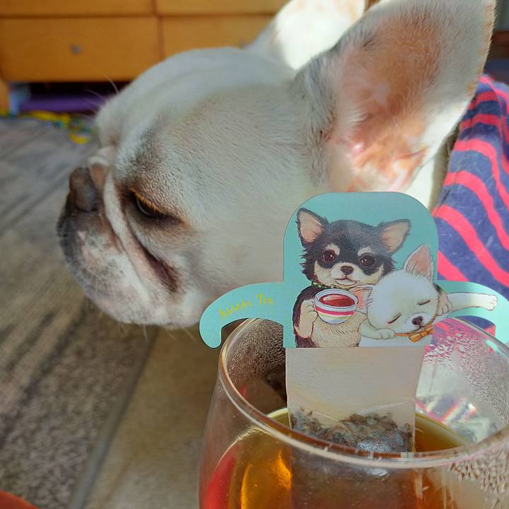 B05ed8c1 760d 4d88 8301 0fde050dd4d7 1643755364031