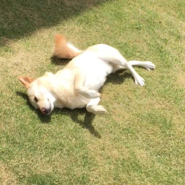 B05ee0a7 2bcf 45cc a8b8 13111bb890db 1524877799117