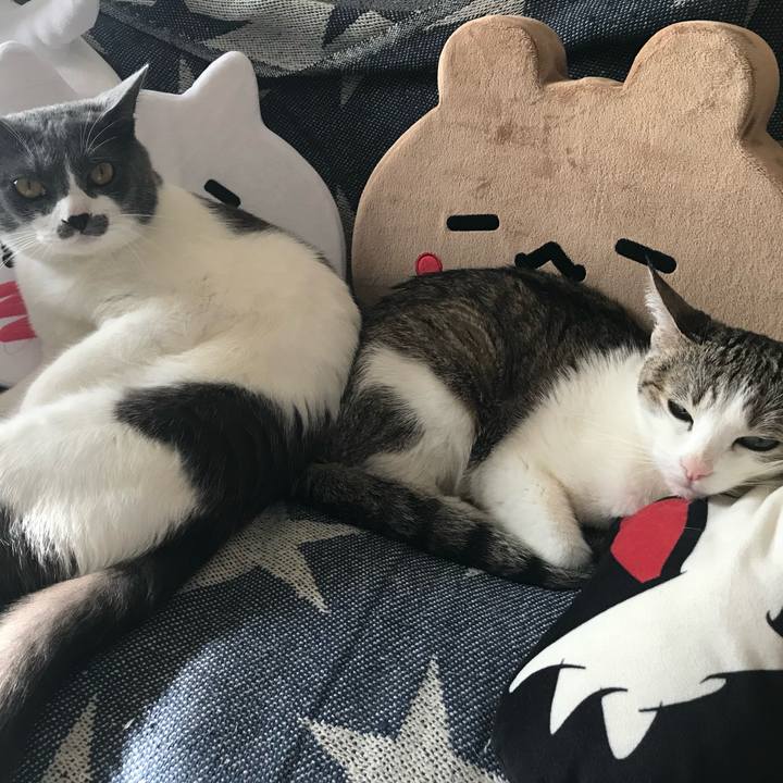 B05f2c8d b0c1 46f1 b0f2 61273e57a4f7 1723044147947