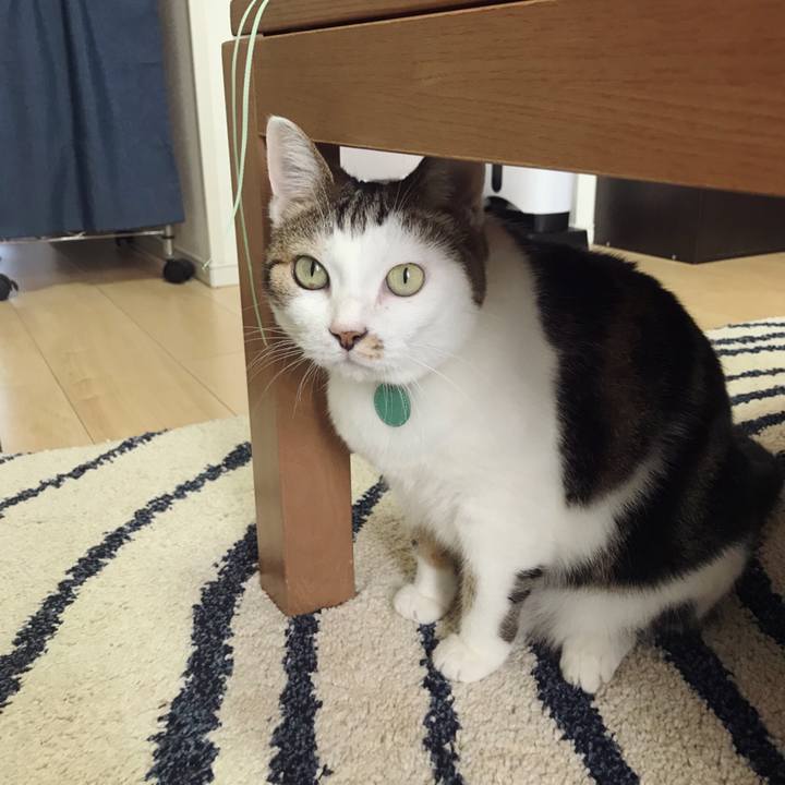 B05f513a 75ba 4efb a5b4 f8c11a225c65 1571994190946