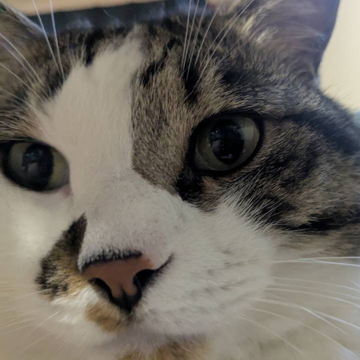 B05f561a 25f3 42fb 9c6e c9fb520c02ca 1751152751916