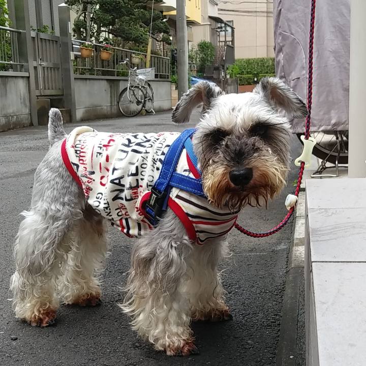 B05fa416 b042 4f74 ac71 3f2e8aea6d29 1625521461449