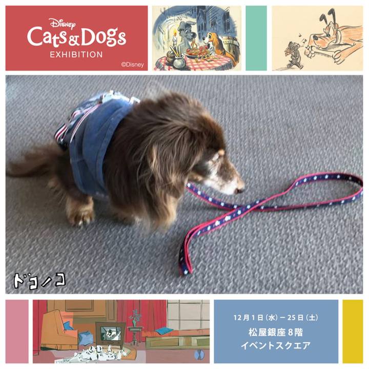 B0600cd8 c8b2 43dc 84a0 593ff239d207 1639093908250