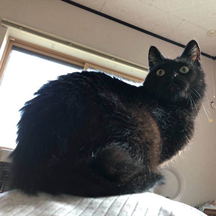 B0604fe3 f866 4ef2 bf95 8c994c22c265 1569938588657