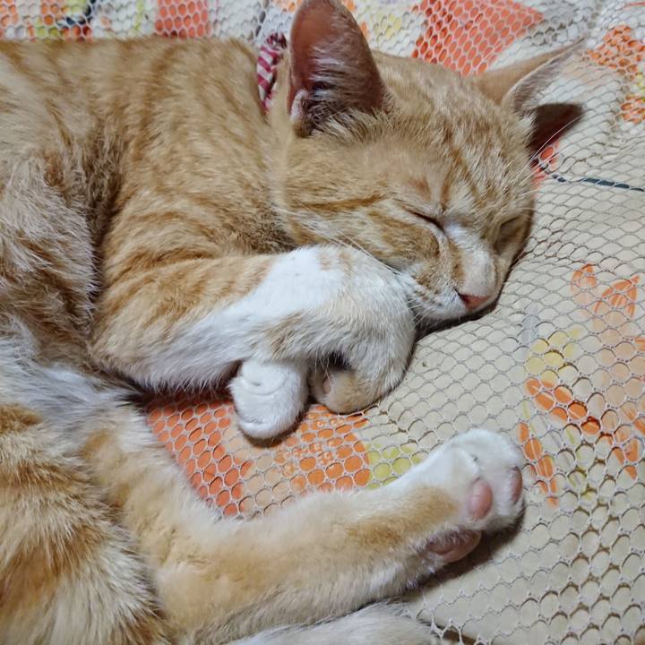 B0605bfa c0a4 45ba 9cf0 ec2a398972f6 1561467072385