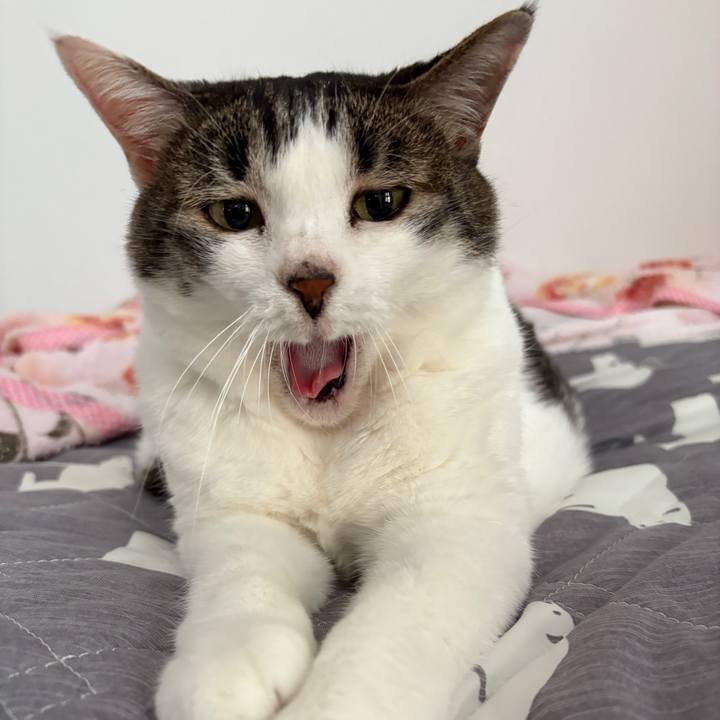 B060a686 7da2 4e60 bd77 02b5740747b3 1753079028426